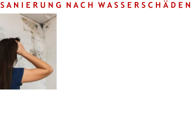 S A N I E R U N G  N A C H  W A S S E R S C H Ä D E N Wir führen Schimmelbeseitigung -auch nach Wasserschäden- aus. Ein „TÜF-Zertifikat“ für die Bearbeitung von Schimmelpilzschäden im Innenbereich ist vorhanden. Unser erfahrenes Team kümmert sich auch um die Oberfächentemperaturen von Innenwandflächen mit geeigneten Materialien.